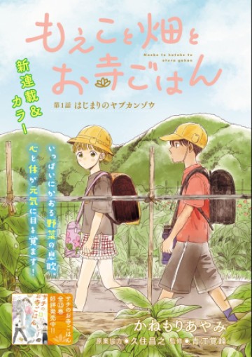 もえこと畑とお寺ごはん