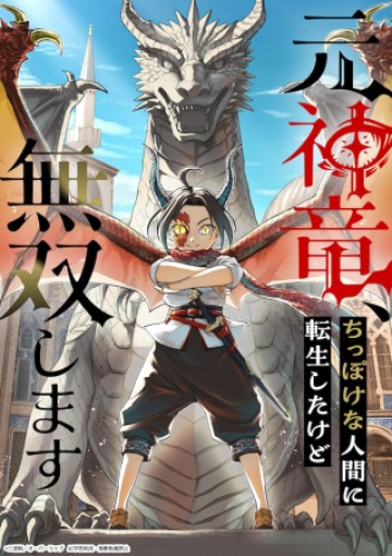 元神竜、ちっぽけな人間に転生したけど無双します